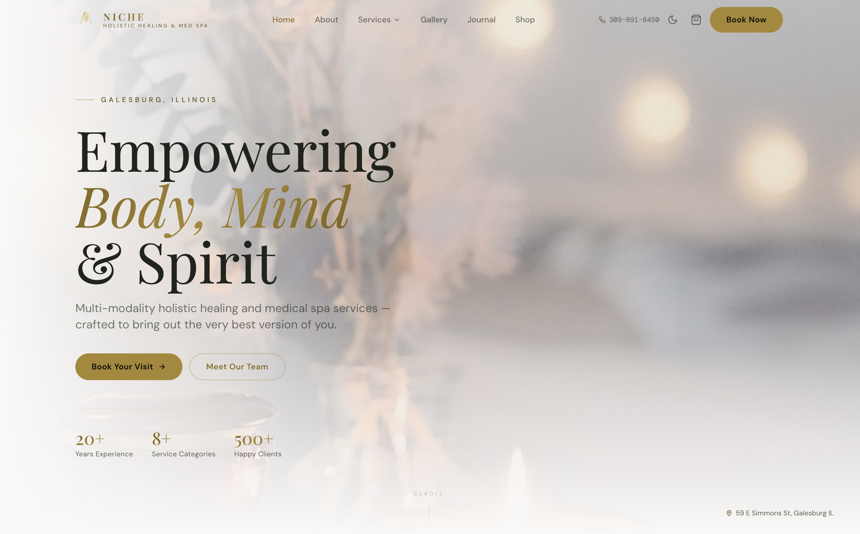 Niche Holistic Healing & Medspa